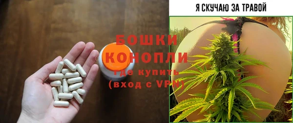 дурь Белокуриха